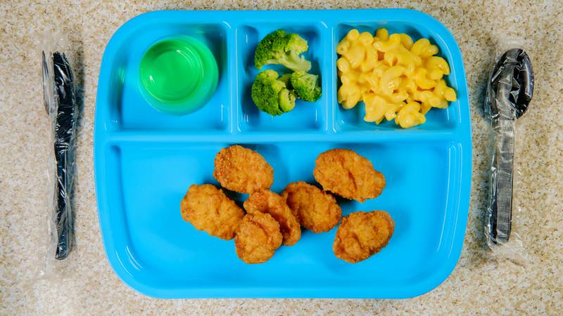 Grade school lunch tray of chicken nuggets with broccoli mac-n-cheese and green jello for dessert