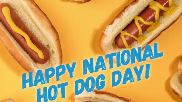 Happy National Hot Dog Day!