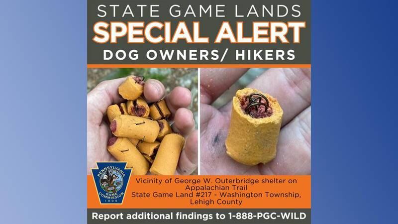 A warning poster from the Pennsylvania Game Commission showing tampered dog treats.