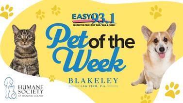 EASY’s Pet of the Week: Artie, Sponsored by Blakeley Law Firm