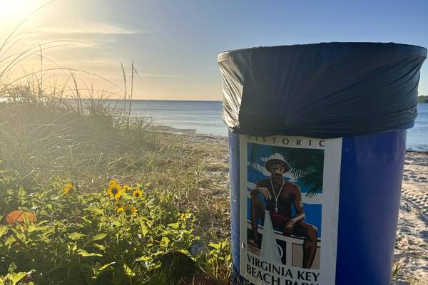 Baynanza Bay Shore Clean-Up 4.13.24