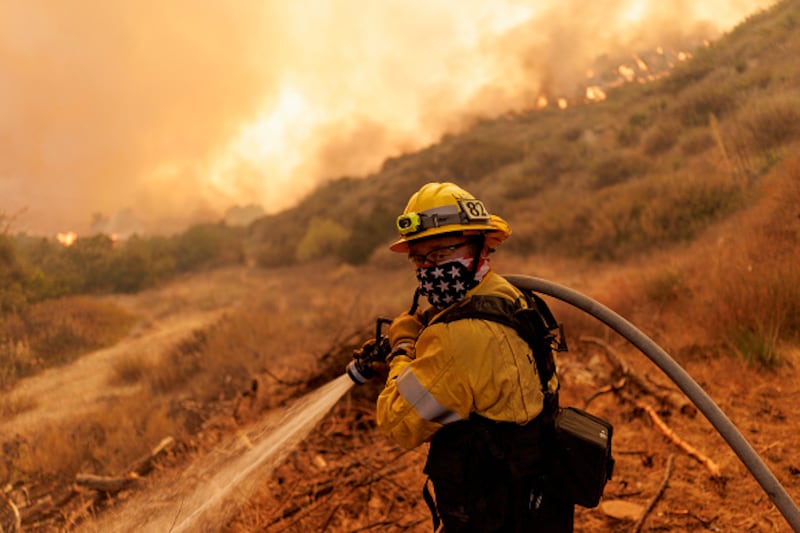 wildfire