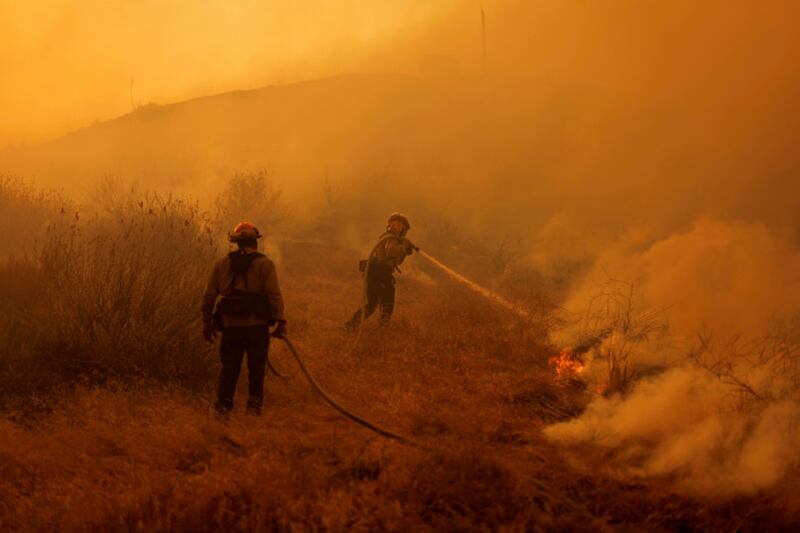 wildfire