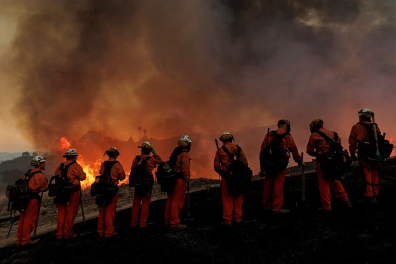 wildfire