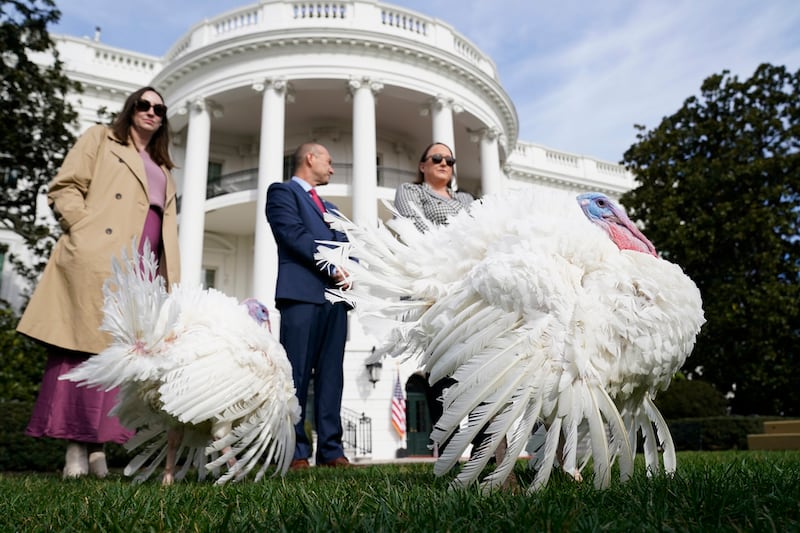 Turkey pardon