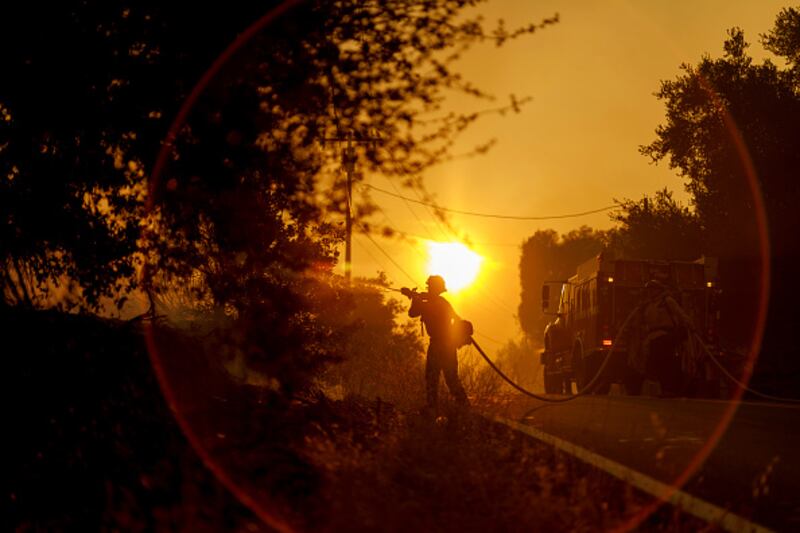 wildfire