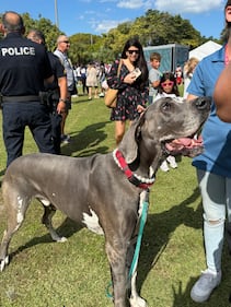 WFEZ 93.1, WHQT 105.1, WFLC 97.3, WEDR 99Jamz Miami beach block party 11.16