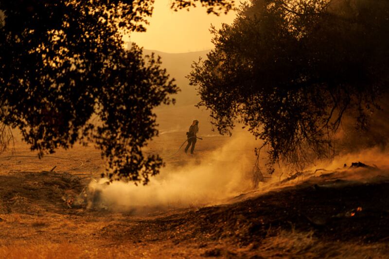 wildfire