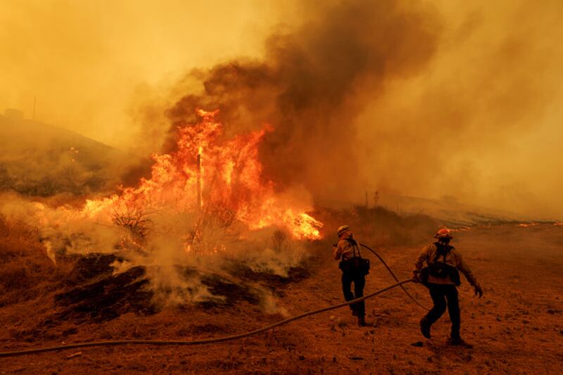 wildfire