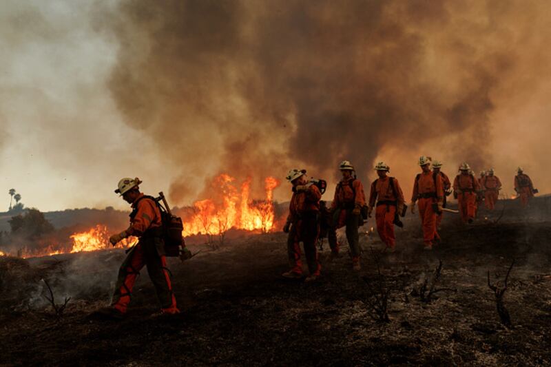 wildfire