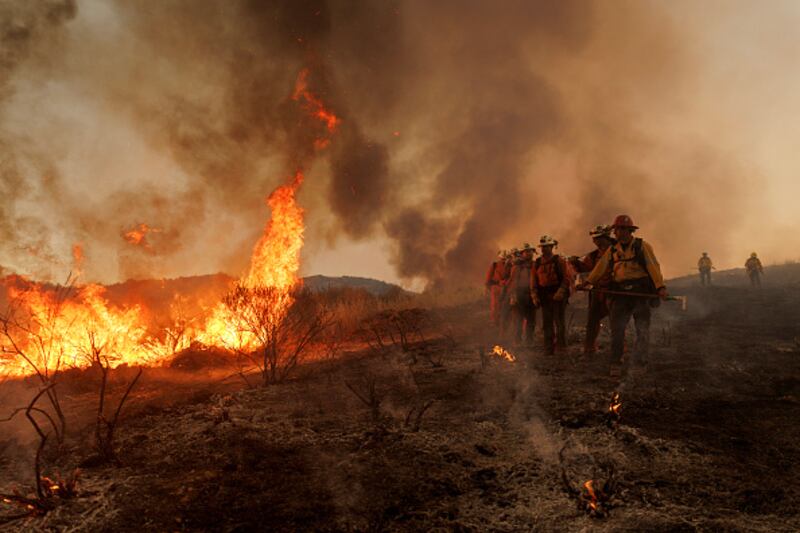 wildfire