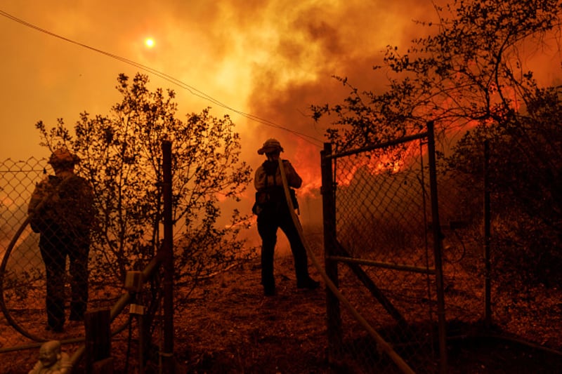 wildfire
