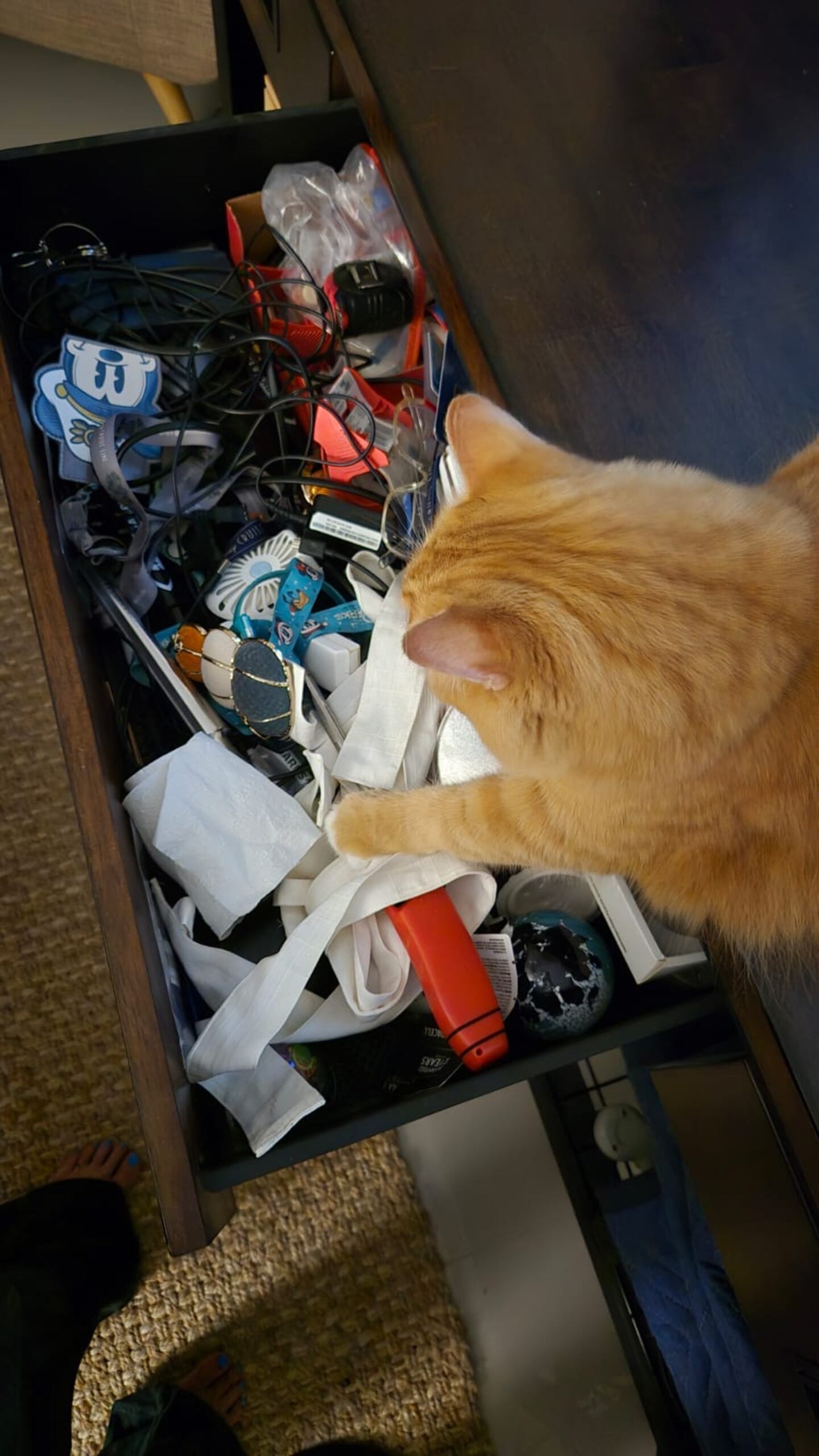 What are the essentials of a true junk drawer?